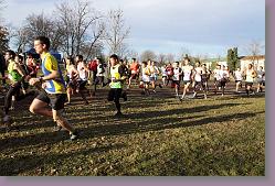 Begles 15.12.13 01 1017 * 679 x 453 * (176KB)